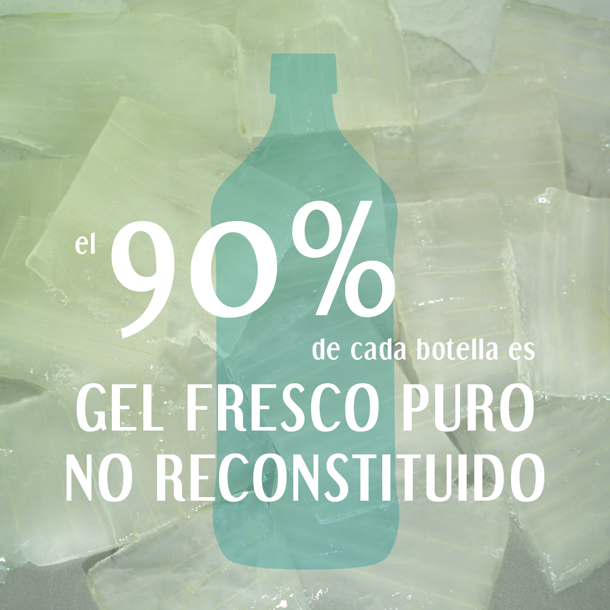 Gel fresco de 90% Aloe Vera - Sabor Frutilla Limón - 980 ml