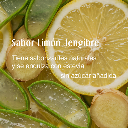 PACK 2 I Gel fresco de 90% Aloe Vera - Sabor Limón Jengibre - 980 ml